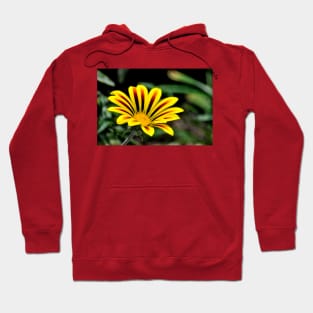 Yellow and Red Flower Hoodie